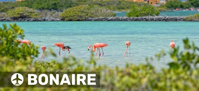 Independence Day Flight Deals to Bonaire from $300 (normally +$405)