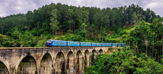 Flights from the US to Sri Lanka from $740 roundtrip